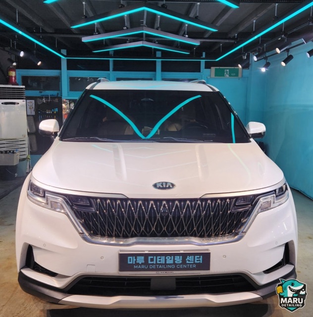 기아 카니발 완성